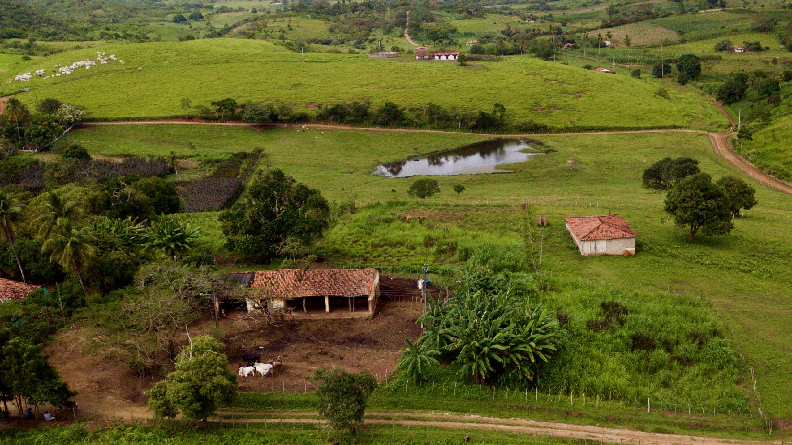 Alagoinha: Tradição e Progresso em Harmonia