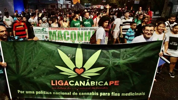 Rumo a uma Nova Abordagem da Cannabis nos Estados Unidos e no Brasil