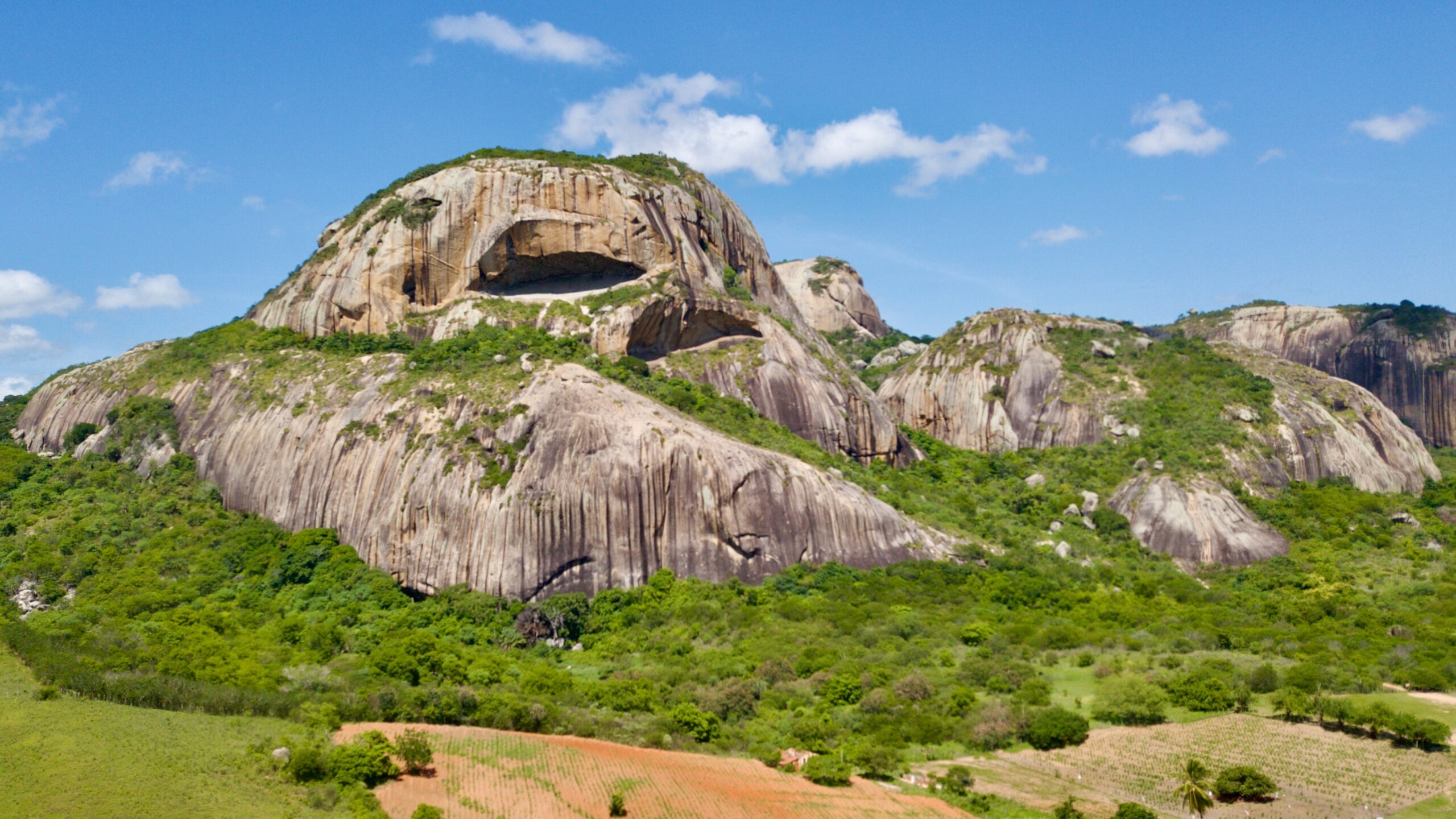 Araruna: Tradição e Natureza em Harmonia