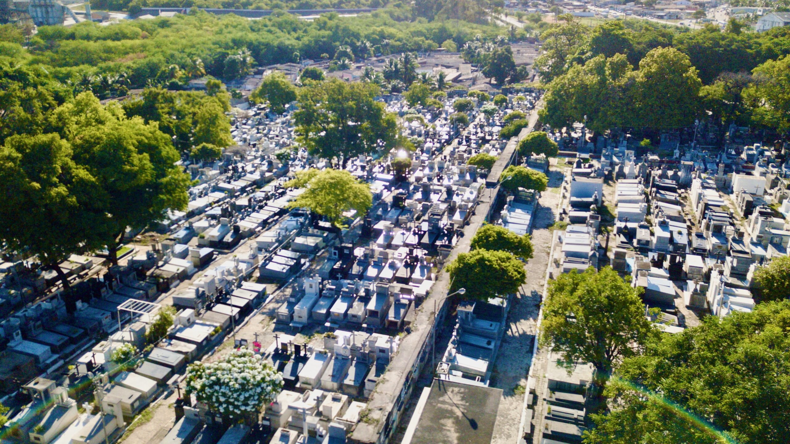 A morte do campo santo