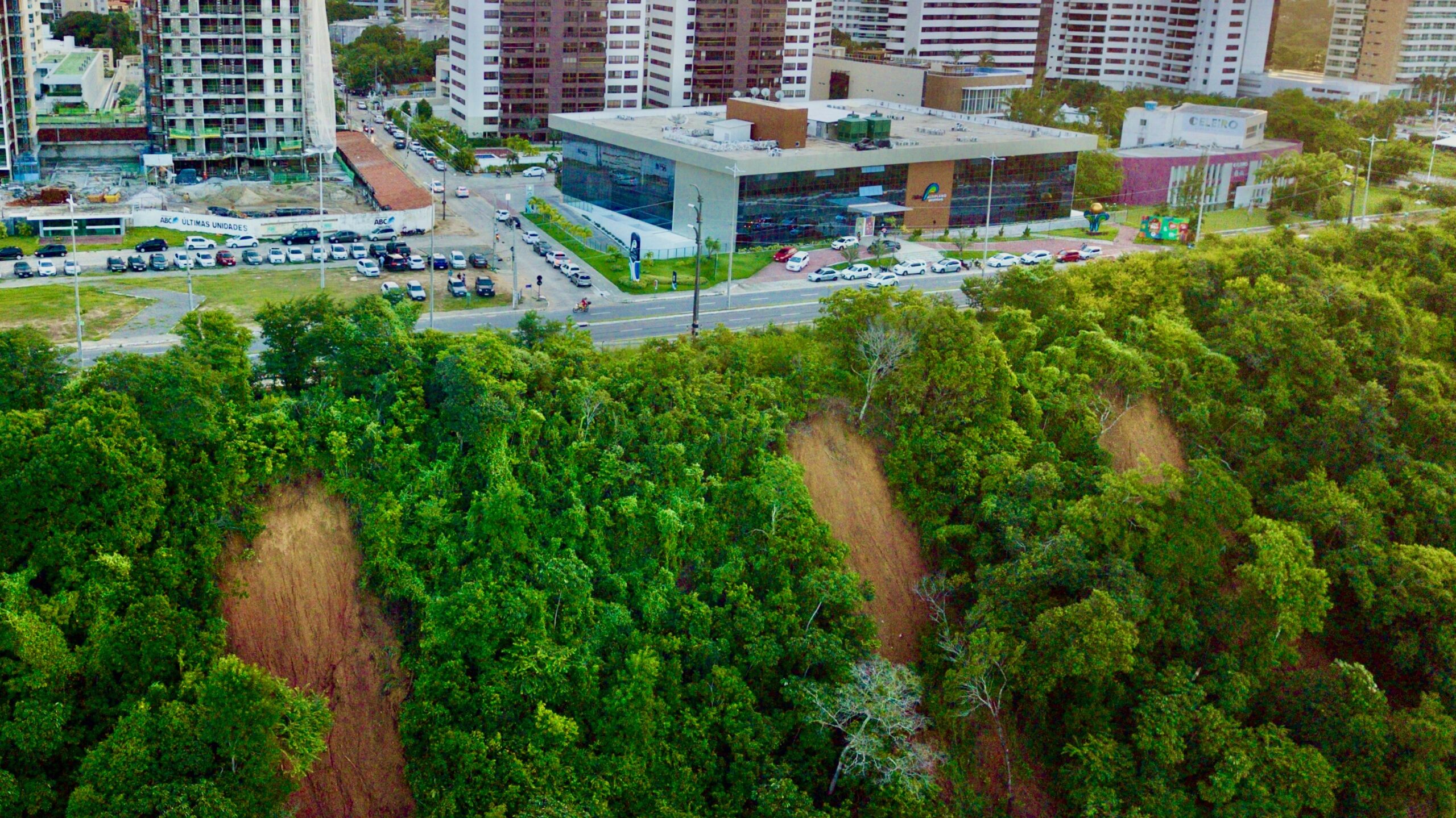 O Silêncio da Mata e o Barulho das Máquinas
