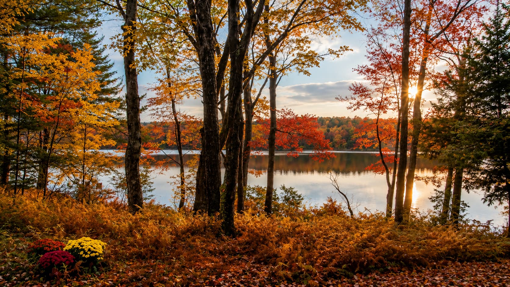 Autumn by the Lake