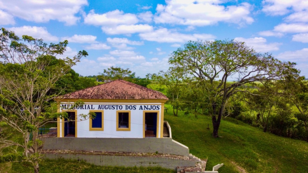 O Tamarindeiro de Pau d’Arco